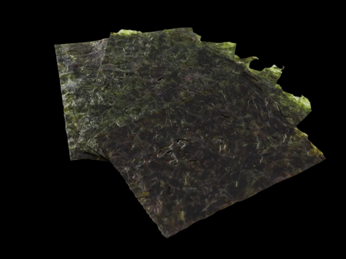 Algae leaves 3 pieces