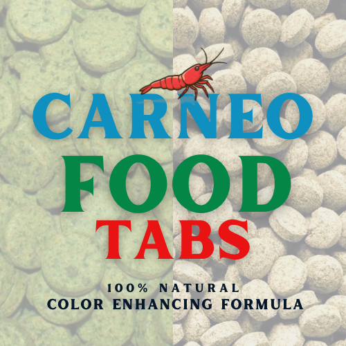 Carneo Food Tabs
